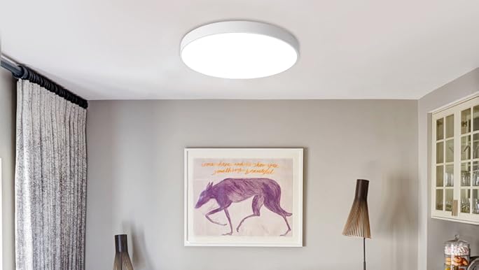 Ganeed LED Ceiling Lights,39W 19.6Inch Modern Ceiling Lamp